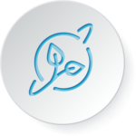 Icon: sustainable packaging and solutions offerings